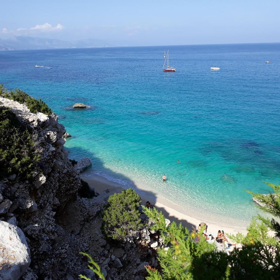 Casa Vacanze Fenu Irgoli ภายนอก รูปภาพ