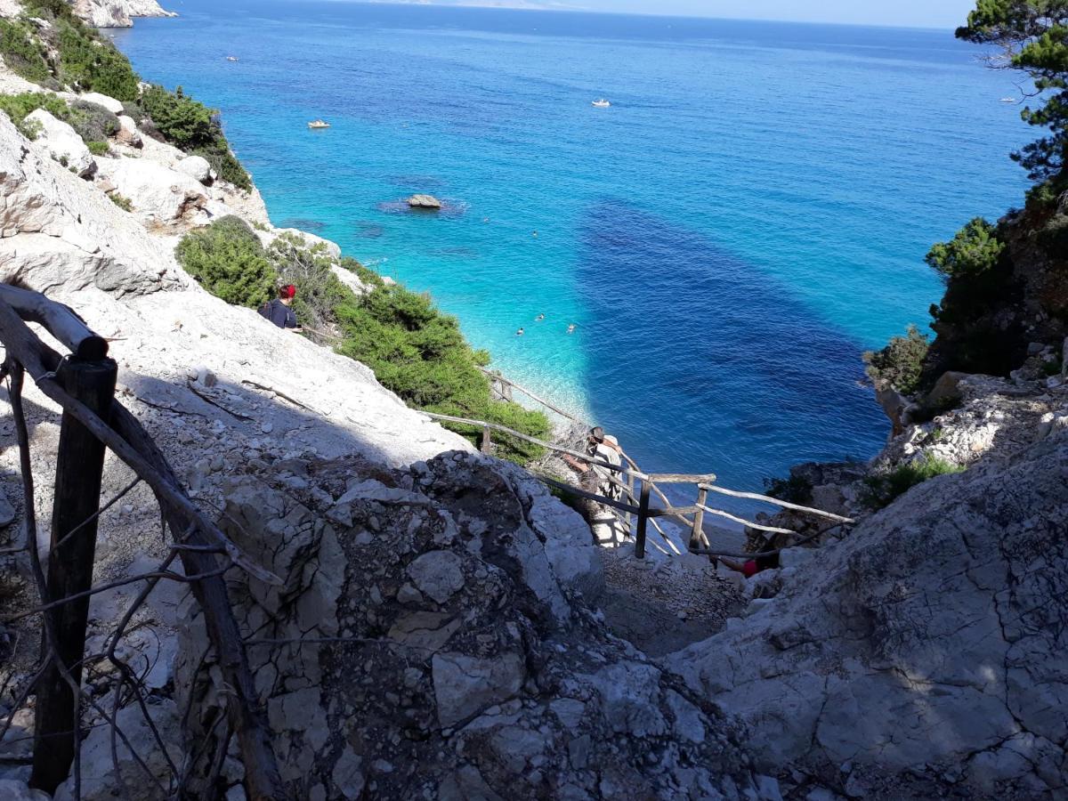 Casa Vacanze Fenu Irgoli ภายนอก รูปภาพ